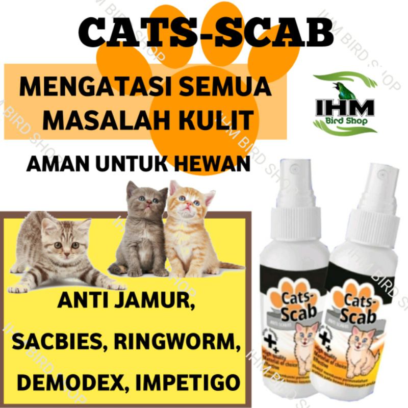 Cats Scabs Scabs Anti Fungus Medicines Scabies Skin Infection Is