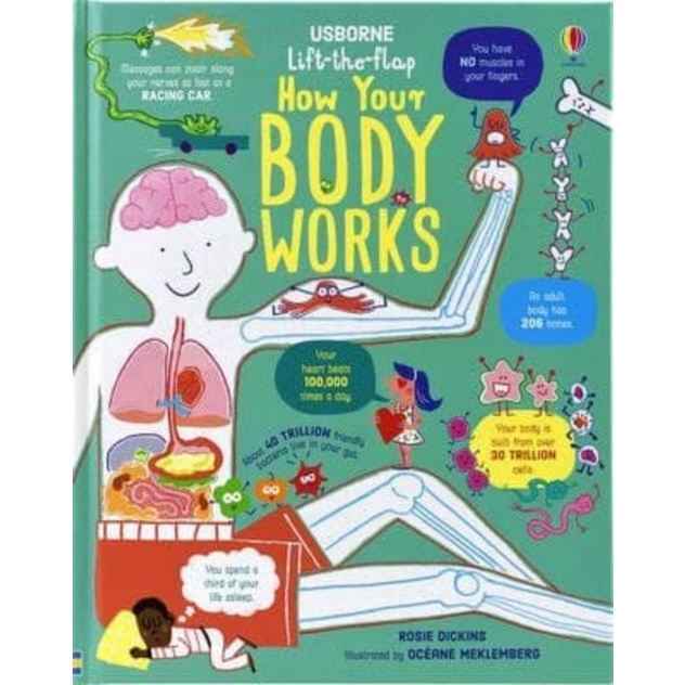 Lift The Flap How Your Body Works Children's Book Chart Human Body