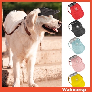 Dog Hat for Small Dogs Girl Boy Hats for Dogs Adjustable Dog Bucket Hat  Puppy Sun Hat Spring Summer Pet Baseball Cap Doggy Visor with Ear Holes and  Chin Strap for Dog