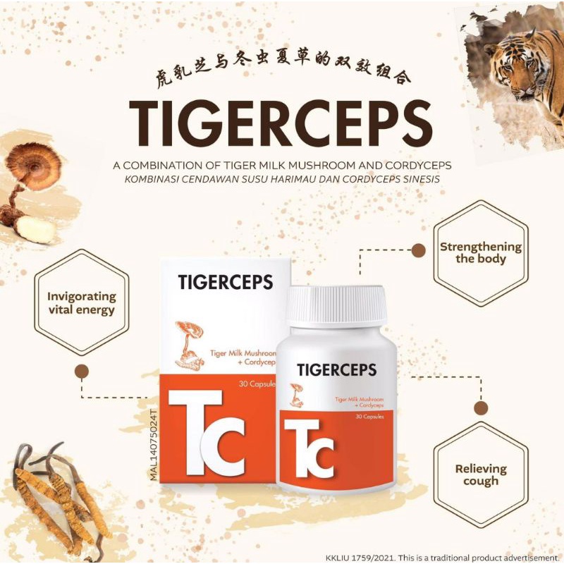 TIGERCEPS 30s (TIGER MILK MUSHROOM + CORDYCEPS) | Shopee Singapore