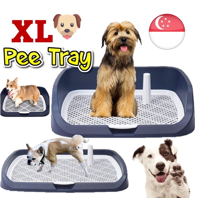 [SG Seller] Deep NonSpill Dog Pee Tray Pee Pan Mesh Enclosed Plate