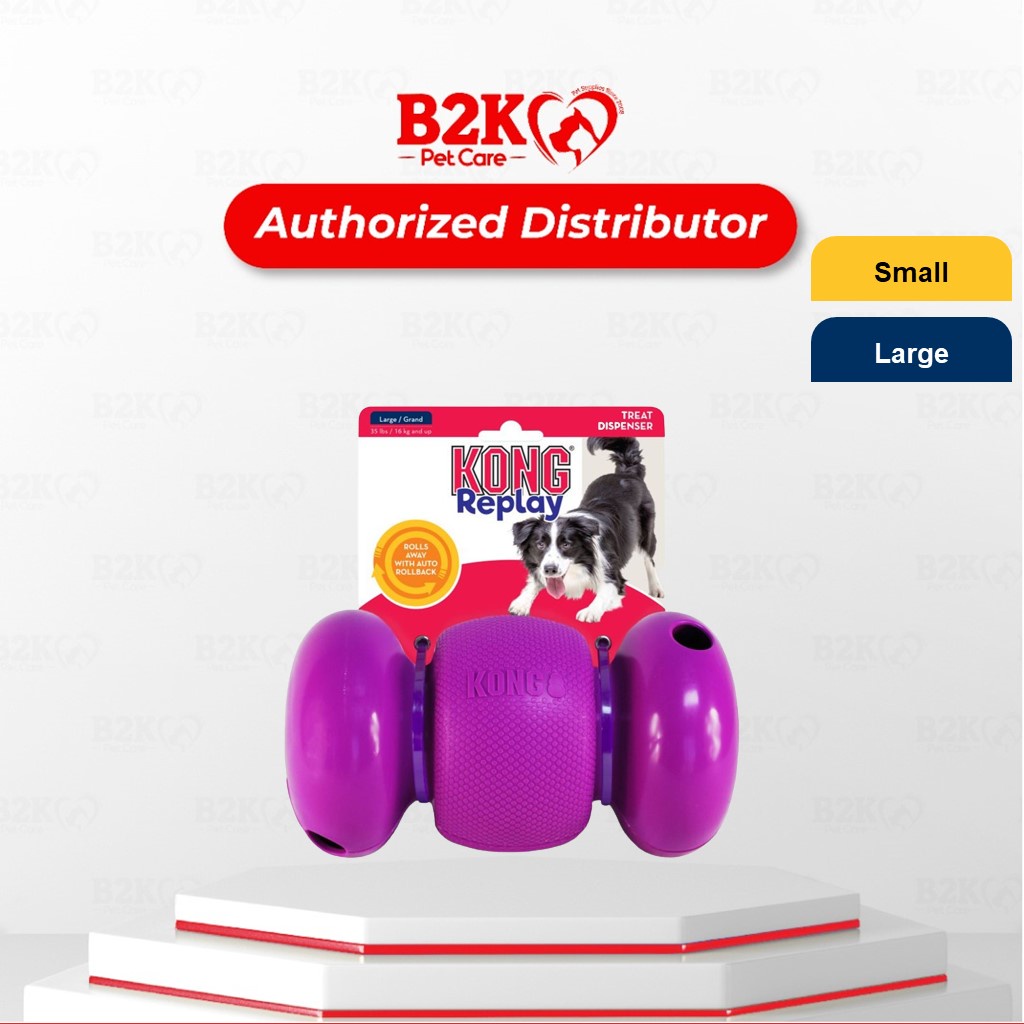 Kong replay dog toy sale