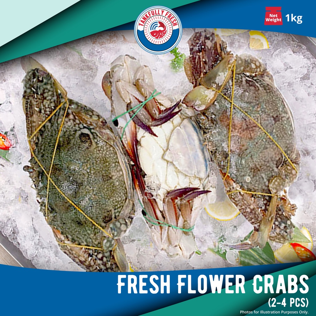 [Tankfully Fresh] Fresh Flower Crab 花蟹 (2-4crabs/1kg) | Shopee Singapore