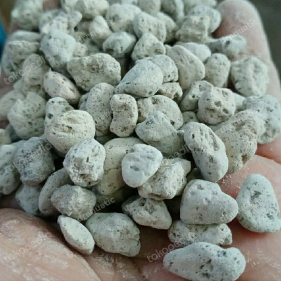 Pumice AQUASCAPE PUMICE PUMIS FILTER MEDIA AQUARIUM Bacteria House