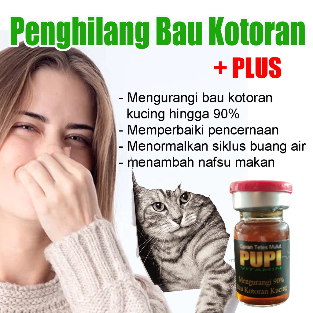 Pupi VITAMIN Odor Cat Litter Lost Improve Digestion And Cat And kitten