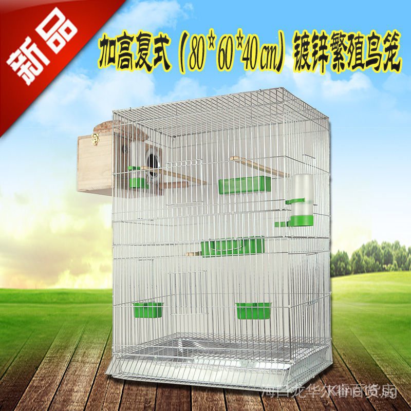 Colonial Parrot Cage With Swimming Area photo