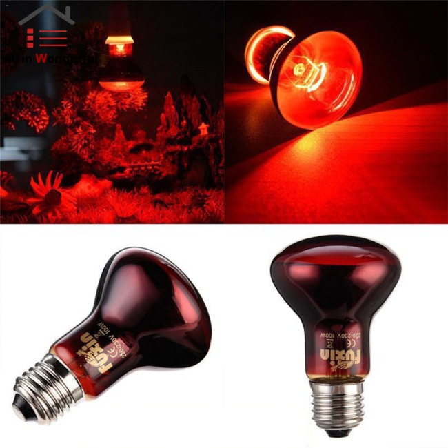 Reptile red light bulb sales