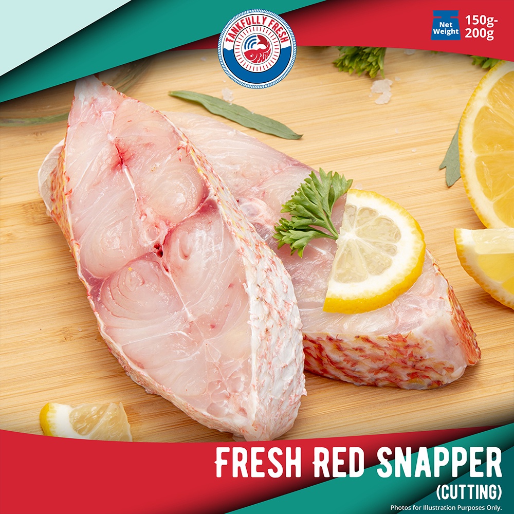 Buy red snapper Products At Sale Prices Online - October 2026 | Shopee ...