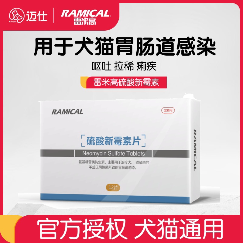 Remy high dog acute gastroenteritis special antibiotic cat cat