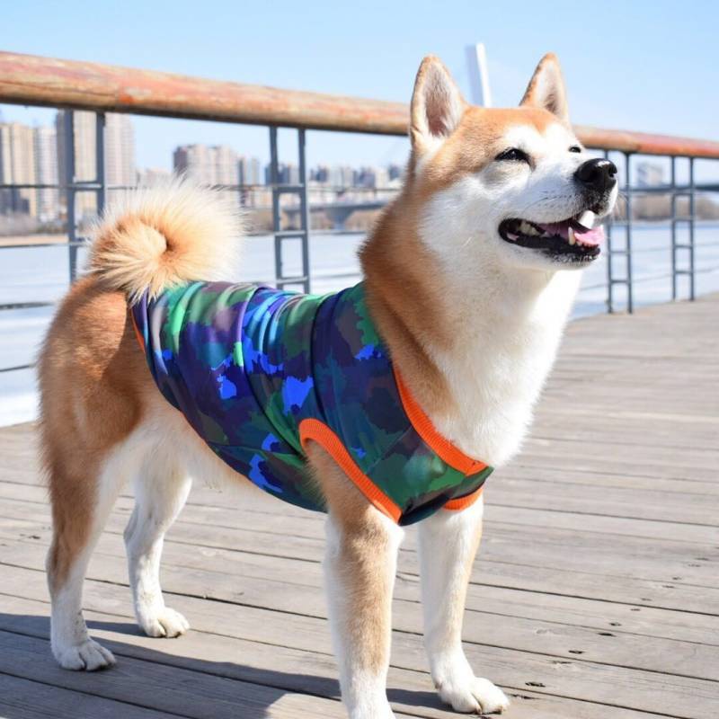 Spring and Summer New Dog Smooth Surface AntiSweater Shiba Inu Husky