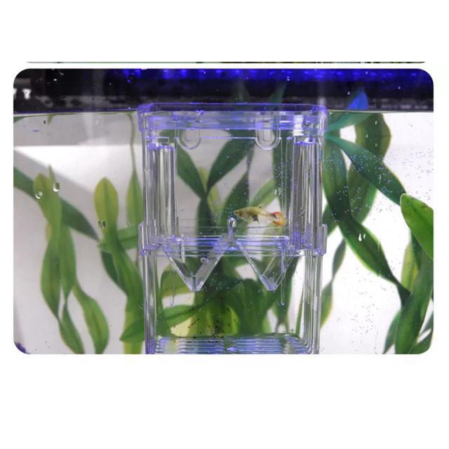 Floating fry tank best sale