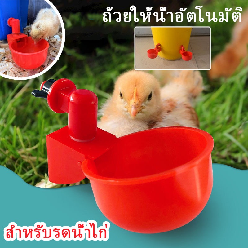 Automatic Watering Cup Pvc/Chicken/Quail Water Can Be Watered For