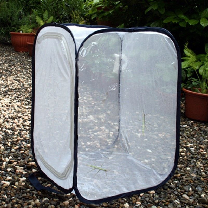 Portable Wild Picking Tool Mantis Net Box Mantis Feeding Box Butterfly ...