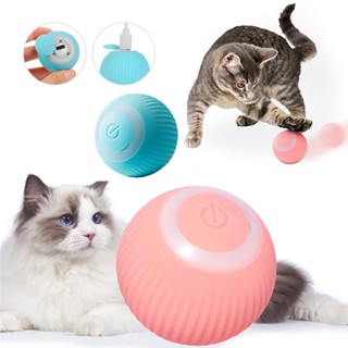 Electronic cat outlet ball