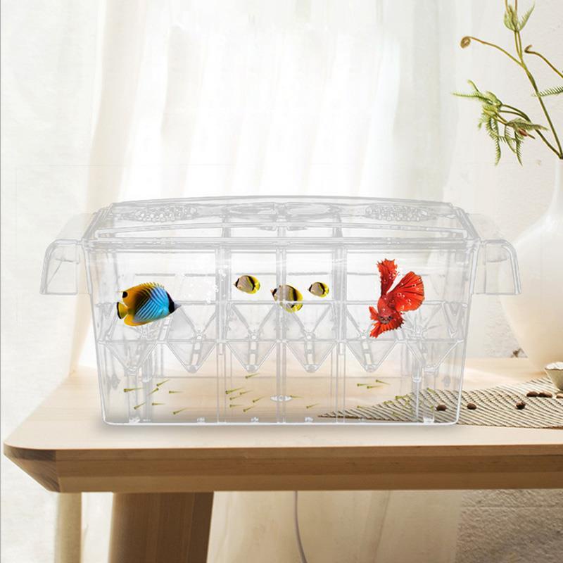 Fish Tank Outside Incubator Douyu Fish Isolation Box Fish Tank Female 