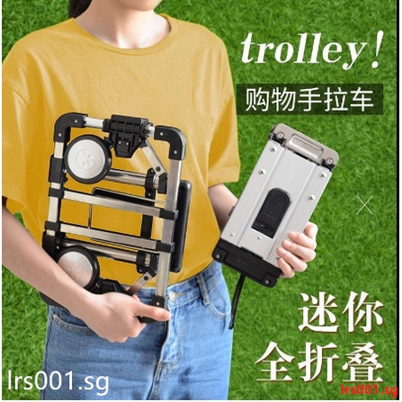 Portable Mini Trolley Foldable Multi-function Carrying Luggage foldable ...