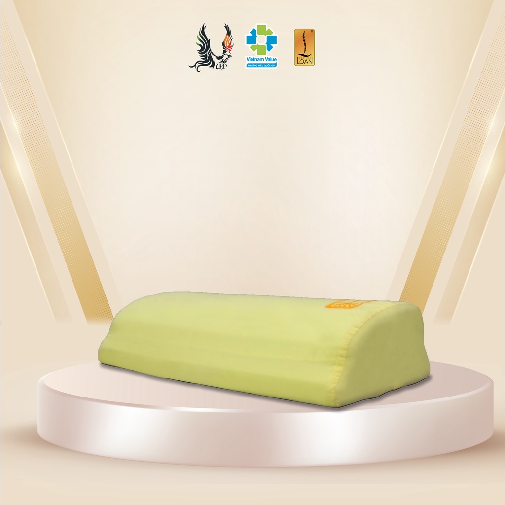 Back Pillow F3 DOCTORLOAN Shopee Singapore