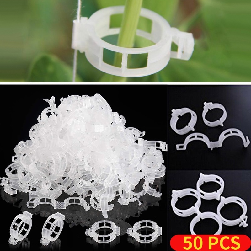 [Feature] Vegetal Clip / 50 Vine Retaining Clips / Green Plant Climbing ...