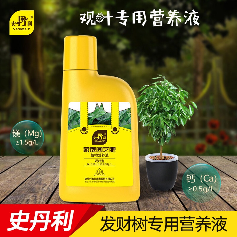 Stanley Pachira Macrocarpa Happiness Tree Fertilizer Special Fertilizer
