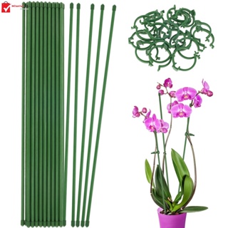 20PCS Garden Plant Stakes Green Bamboo Sticks Plant Support Stakes Wood  Bamboo