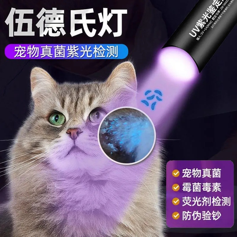 Cat moss lamp Detection of cat moss UV light Laser light Detecting