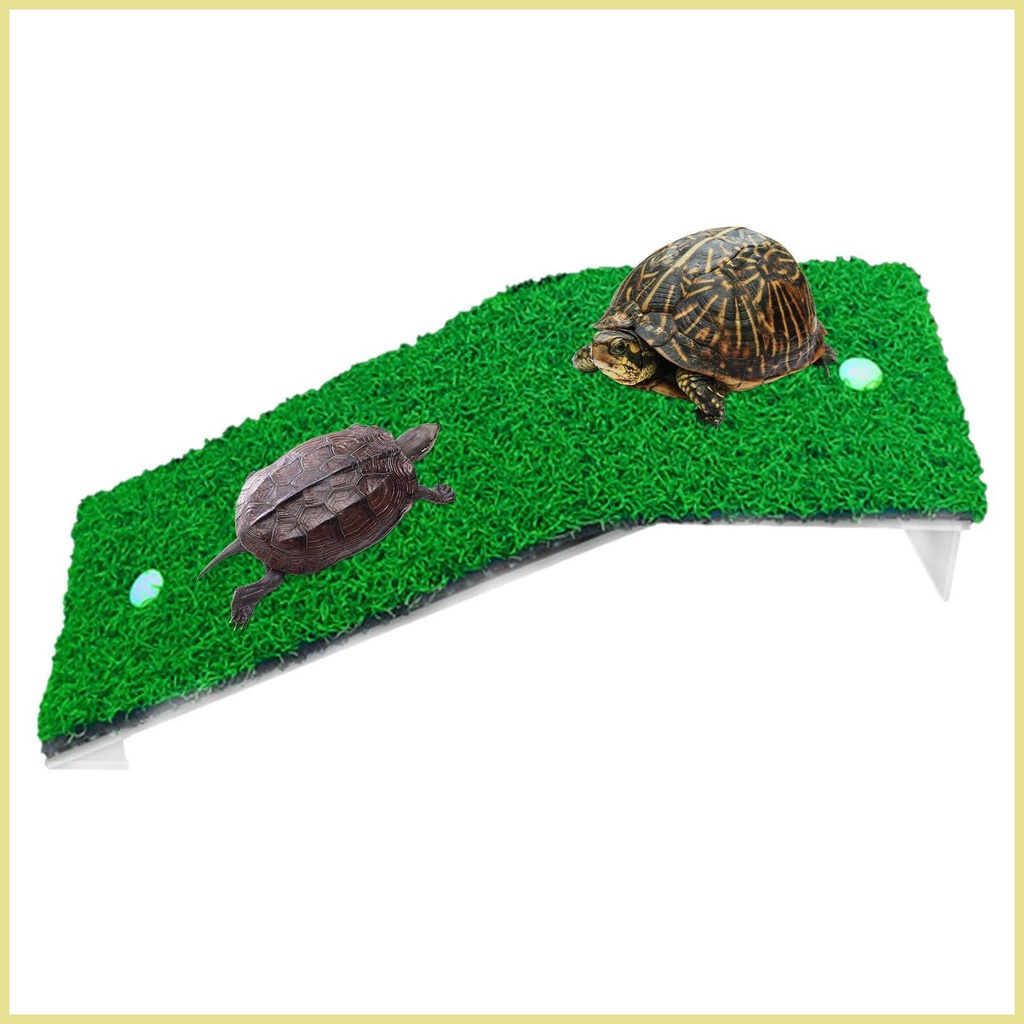 Basking Platform For Aquatic Turtles Lawn Turtle Basking Platform ...