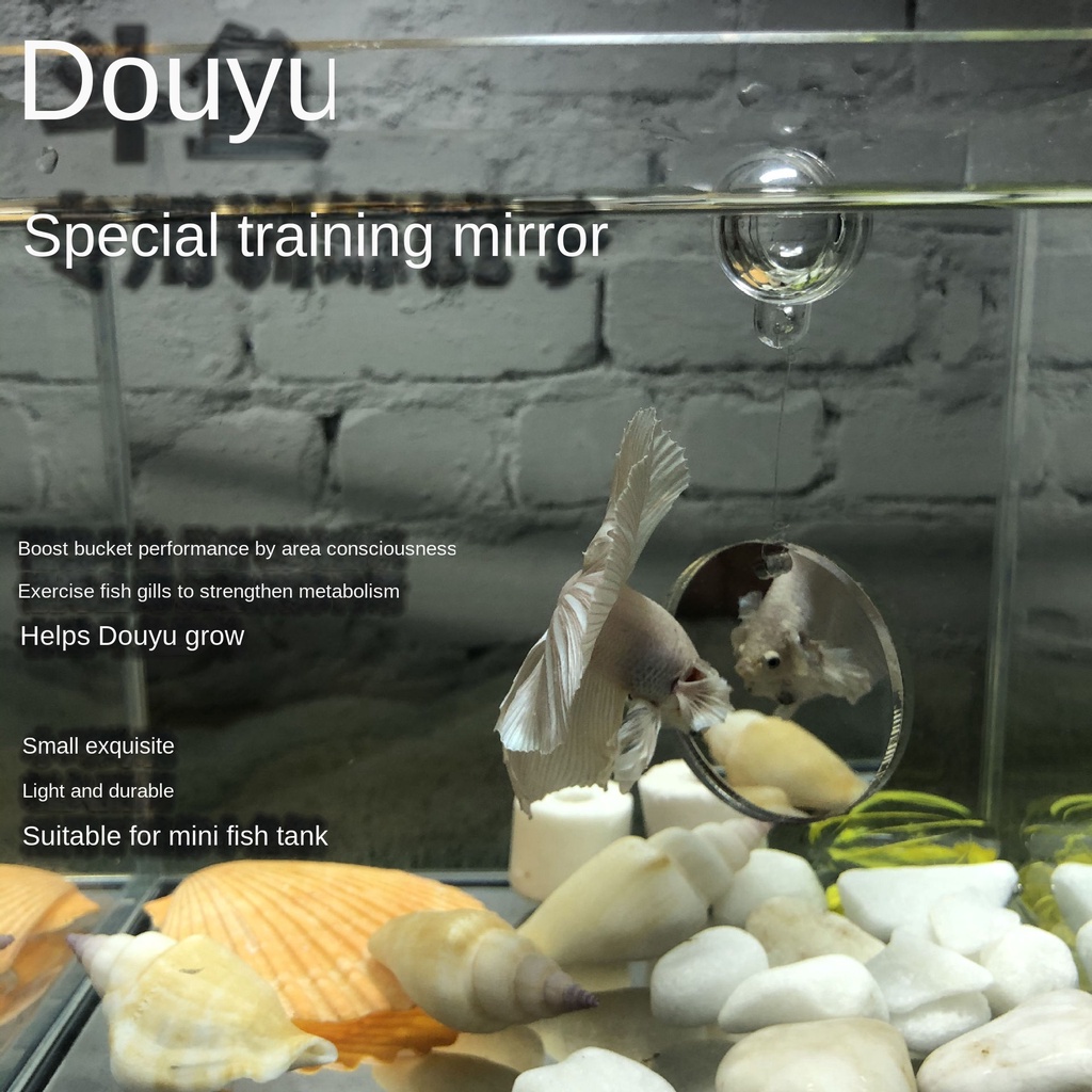 Small fish tank interior and exterior mirrors, landscaping, tail
