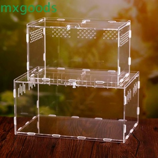 S/M/L Spider Reptile Terrarium Acrylic Reptile Breeding Box Terrarium  Accessories Insect Box For Spider