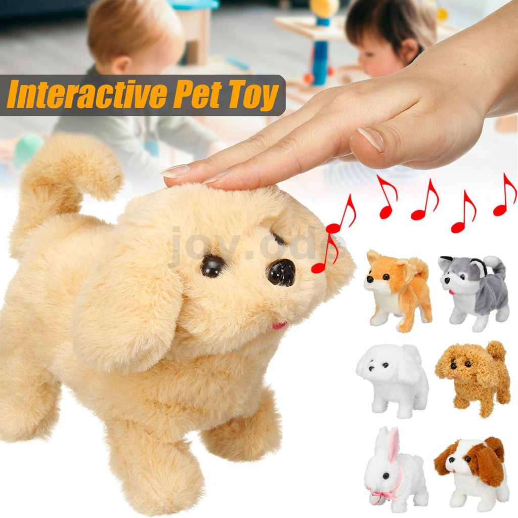 Electronic shop dog toy