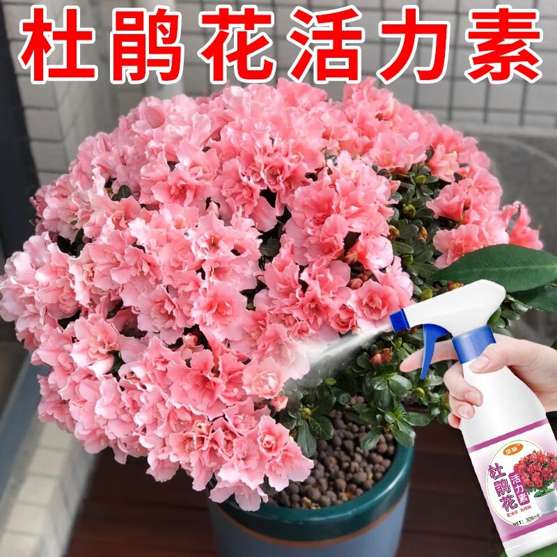 Azalea Special Fertilizer Nutrient Solution Foliar Fertilizer Gardening