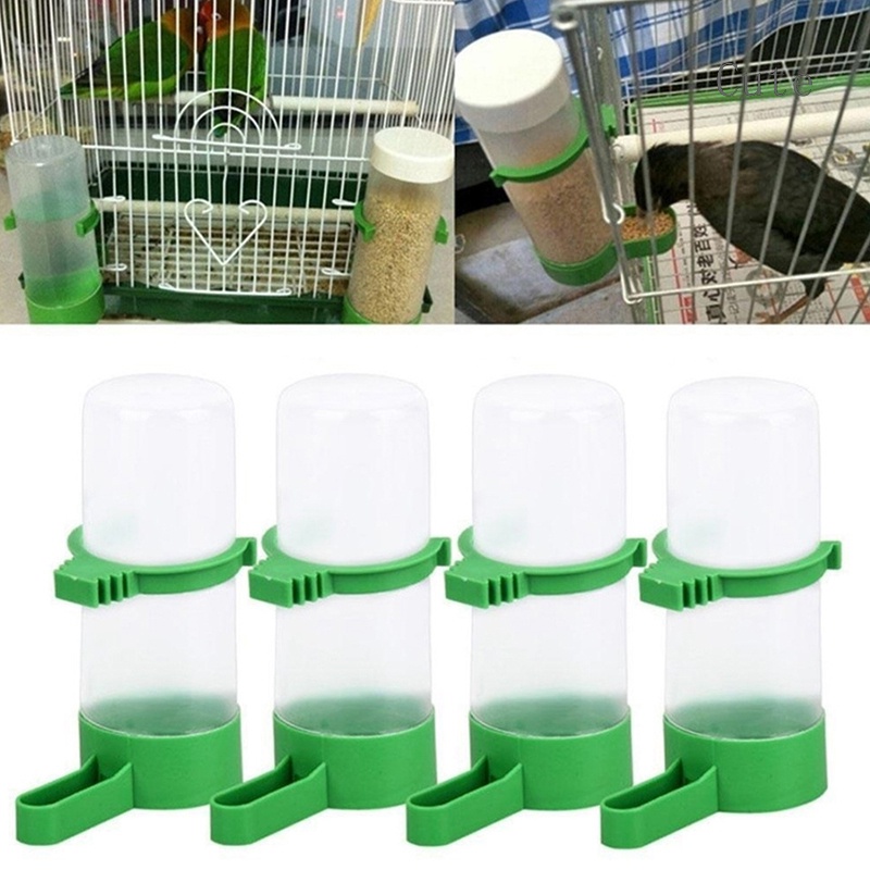 Budgie water dispenser hot sale