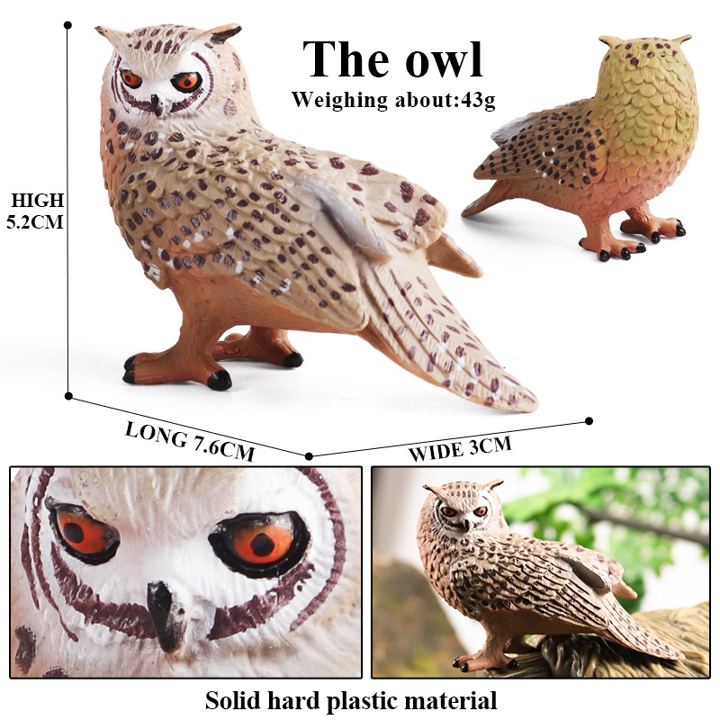 Forest Bird Animals Wild Ostrich Magpie Owl Crow Flamingos