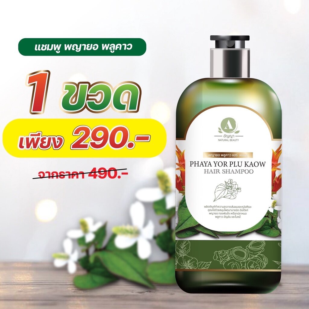 Anyaa Shampoo Phaya Yo Plukao Cure Itching Fungi Ringworm Eliminate