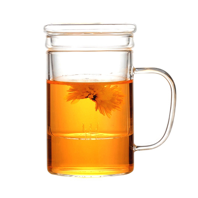 450ml Heat Resistant Glass Tea Cup with Lid and Infuser Basket Teapot