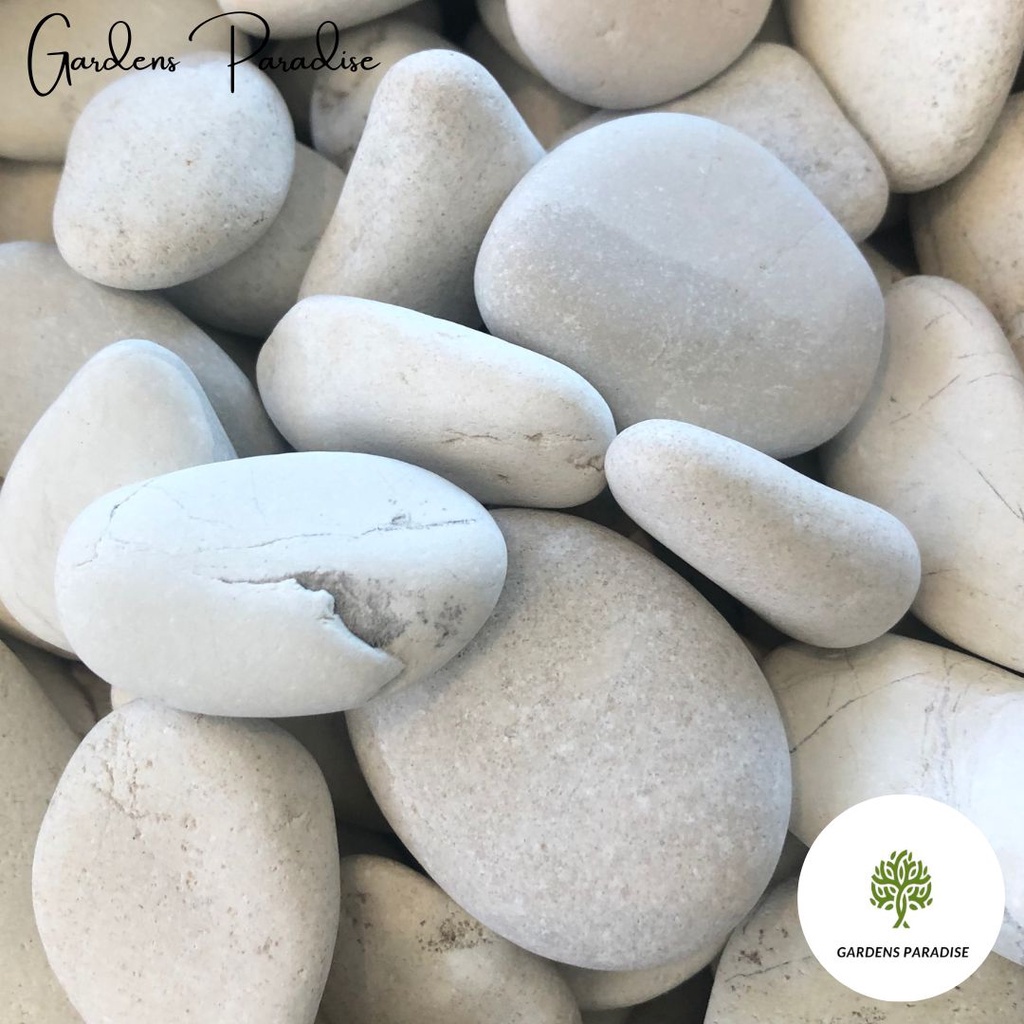 White Ivory River Pebble For Landscape Decoration (Approx. 5kg)