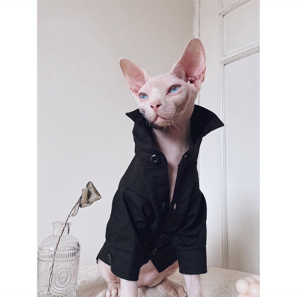 Cat clothes hot sale near me