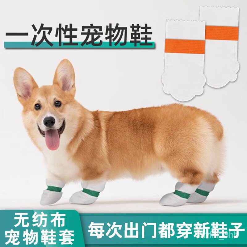 Corgi frise sales