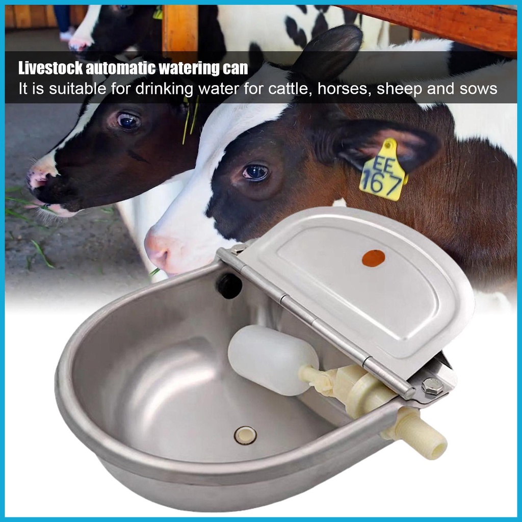 Livestock Watering Bowl Pig Waterer Automatic Water Dispenser For Dogs