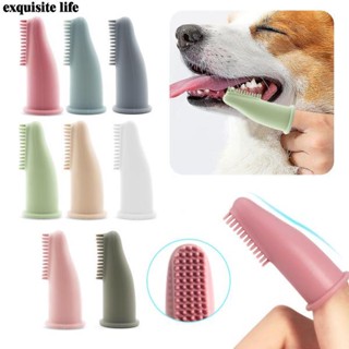 Cover the hexagon outlet dog toothbrush