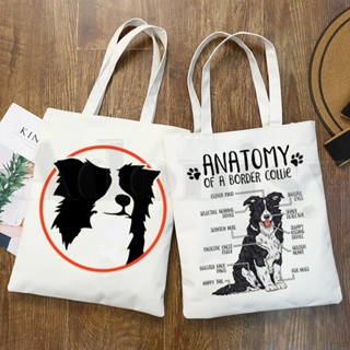 SNNBJH goyard Gy Tote bag Original Figoya Female Dog Teeth Large Size  Genuine Leather Single-Sided Shopping Canvas Shoulder Handbag