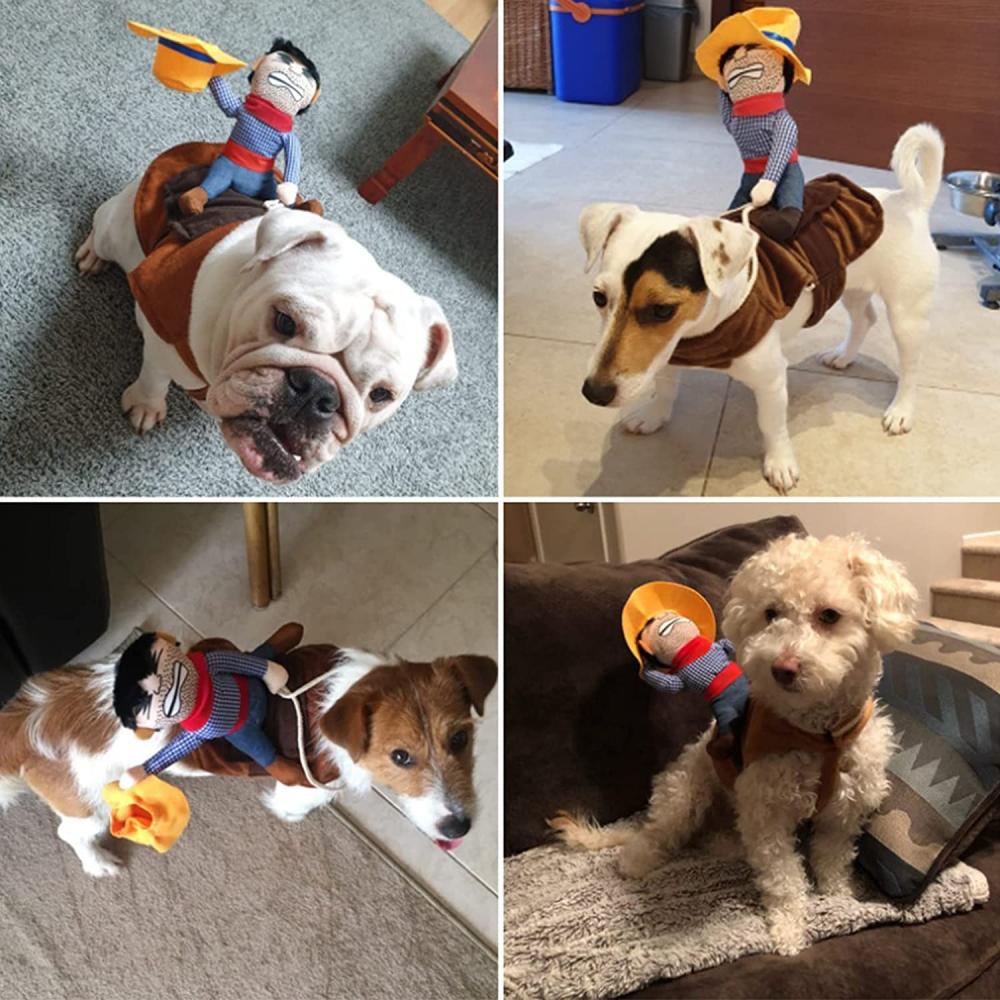 Knight riding dog costume online