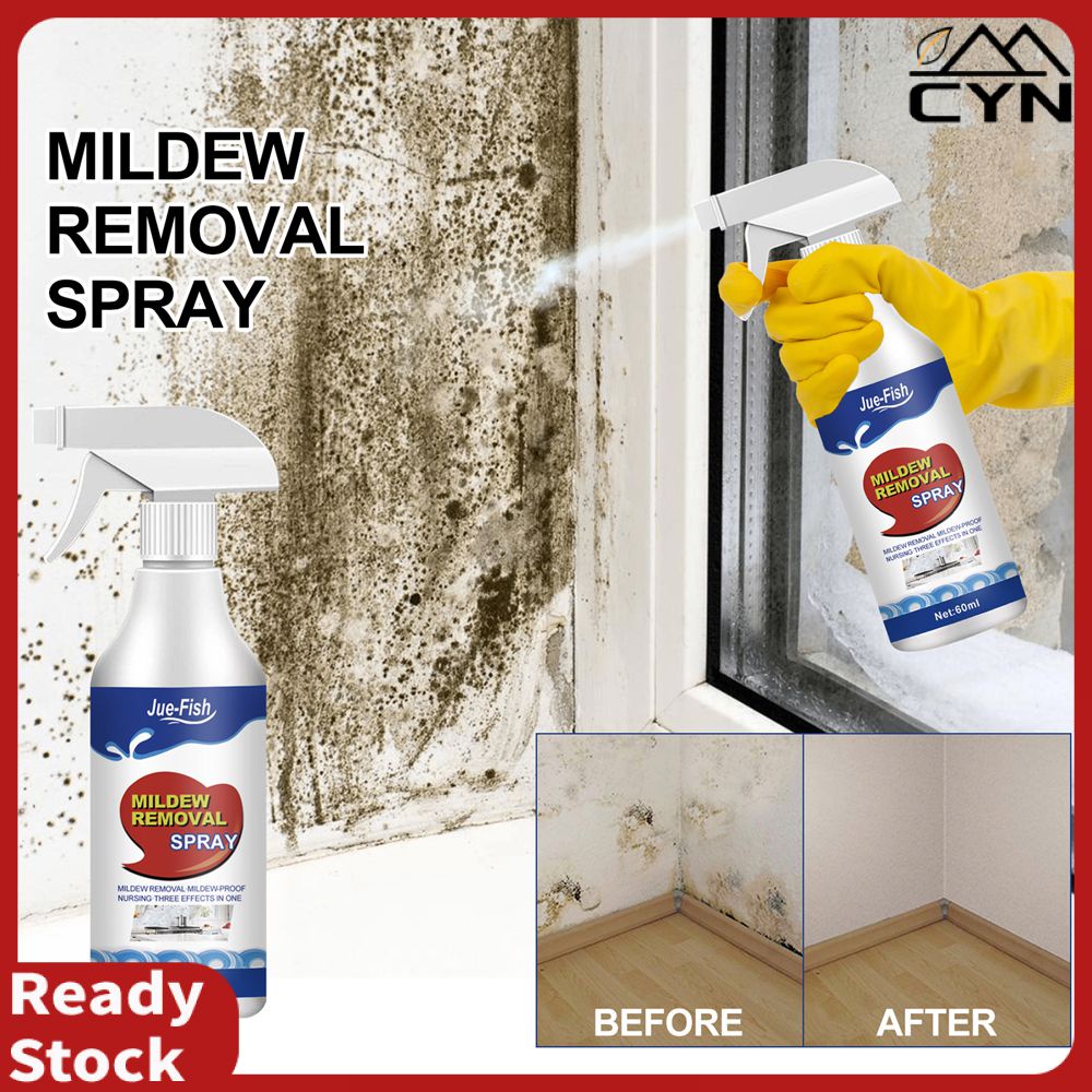 Mould Removers Mould Stain Removers Mould Stain Removers Kitchen ...