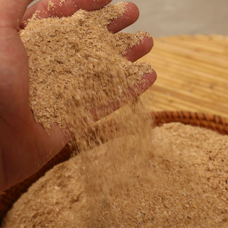 Wheat Bran Feed Mealworm Tenebrio Molitor Mealworm Tenebrio Molitor