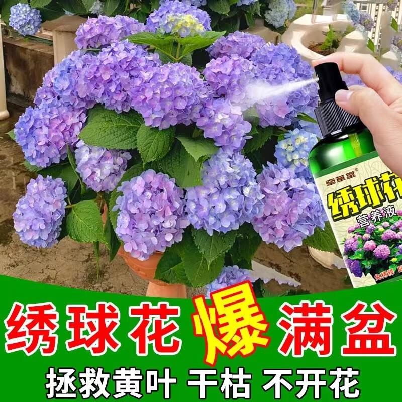 Special Fertilizer for Hydrangea Household Pot Universal Nutrient