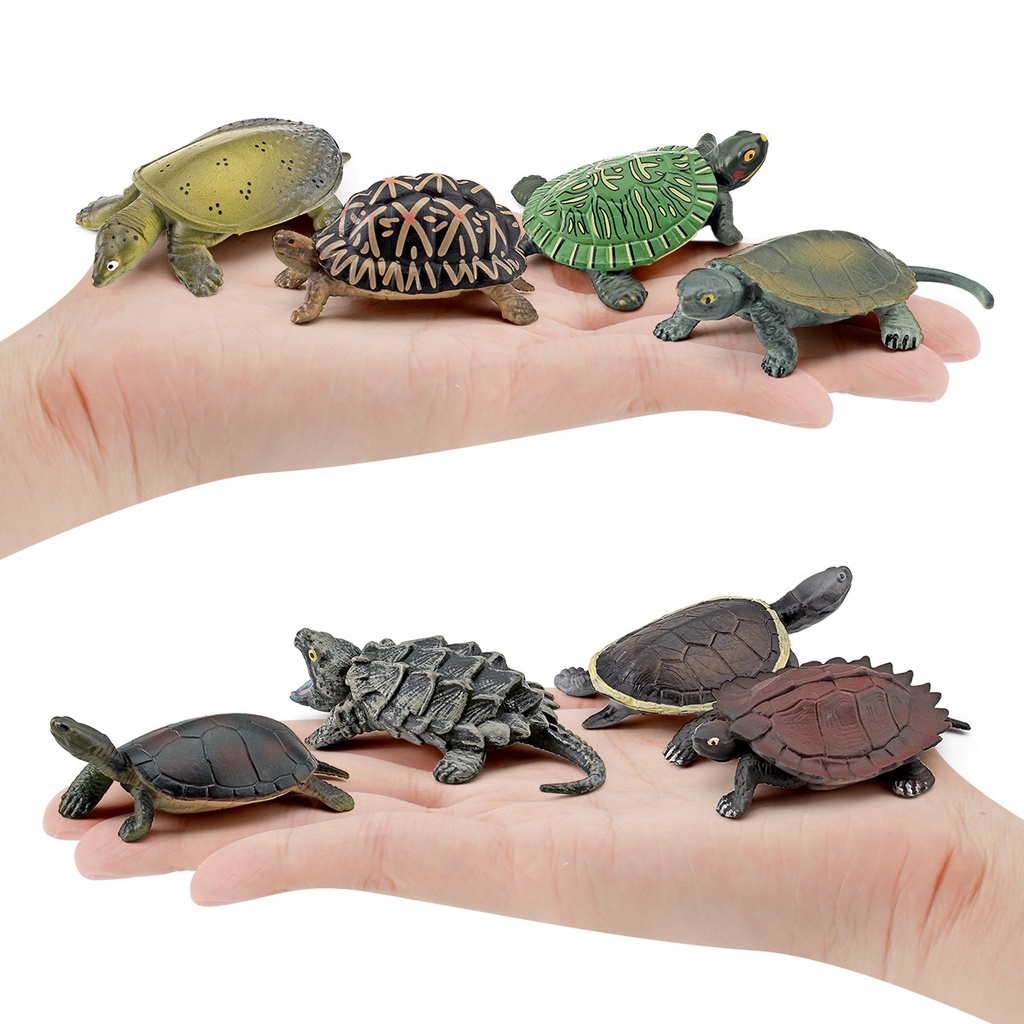 Simulation Animal Model Turtle Model Snapping Turtle Grass Turtle ...