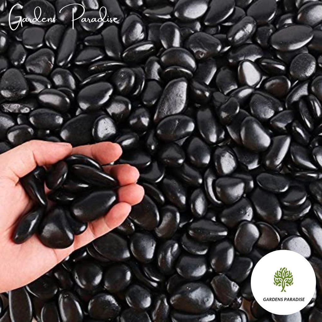 Shiny Black River Pebbles For Landscape Decoration (Approx. 5kg)