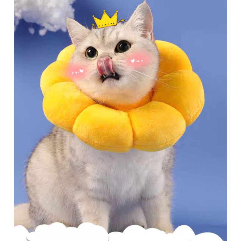 SG Pet Dog Cat Protective Collar Neck Anti Bite Soft Anti Scratch Elizabeth surgery cloth sunflower cone E collar Shopee Singapore