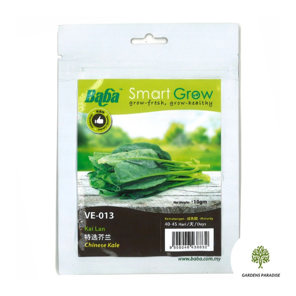 BABA Chinese Kale Seeds By Gardens Paradise VE013 Shopee Singapore