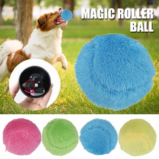 Interactive Dog Ball Toys, Active Rolling Ball for Indoor Dogs/Cats with  Motion Activated/USB Rechargeable, Moving Bouncing Ball pet Puzzle Toy 