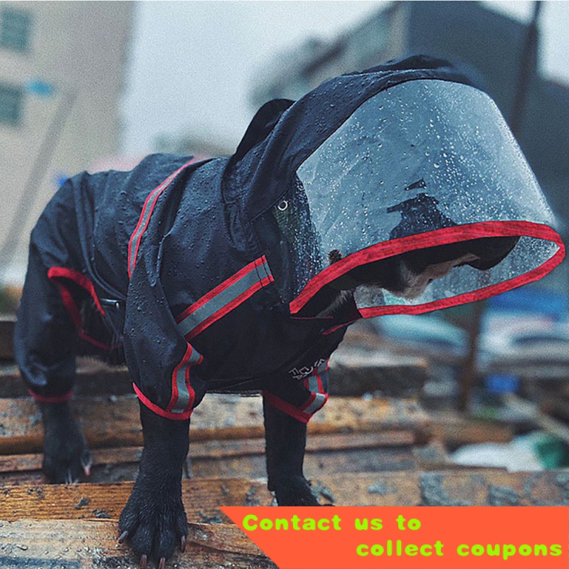 Chihuahua raincoat store